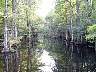 12.05.Everglades03.JPG