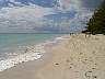 24.01.BahamasDSC00424.jpg