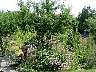 04.08.OberurselDSC01509.jpg