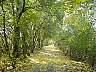 SeebenischDSC02193.jpg