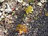 SeebenischDSC02195.jpg