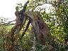 SeebenischDSC02207.jpg