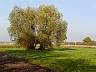 SeebenischDSC02211.jpg