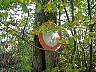 SeebenischDSC02224.jpg