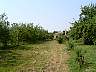 06.08.SeebenischDSC01517.jpg
