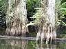 15.03.Everglades15.JPG