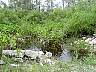 15.03.Everglades23.JPG