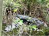 15.03.Everglades26.JPG