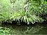 15.03.Everglades27.JPG