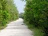 15.03.Everglades30.JPG