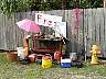 15.03.Everglades40.JPG
