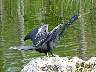 15.03.Everglades42.JPG