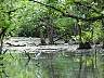 15.03.Everglades7.JPG