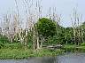 22.03.LakeOkeechobee03.JPG