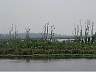 22.03.LakeOkeechobee11.JPG