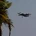 03.05.SeaAirshowFt.Lauderdale17.JPG