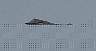 03.05.SeaAirshowFt.Lauderdale6.JPG