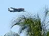 03.05.SeaAirshowFt.Lauderdale8.JPG