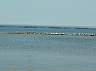 22.06.2003CopperCountryMi35.JPG