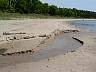 12.06.2003LelandMiTheWards06.JPG