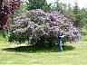 12.06.2003SleepingBearPointCGSMi16.JPG
