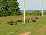 12.06.2003TraverseCityMi01.JPG