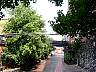 29.06.2003JackDanielDSC01248.jpg