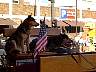 27.06.2003NashvilleTNDSC01040.jpg