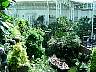 28.06.2003NashvilleTNkDSC01164.jpg