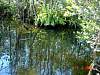 14.01.EvergladesDSC01099.jpg