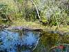 14.01.EvergladesDSC01108.jpg